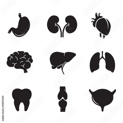 Human organs vector icon set.
