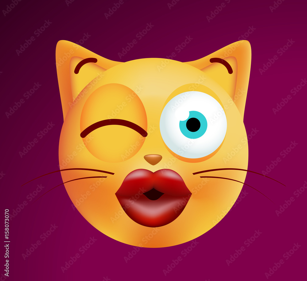 Winky Emoticon Cat