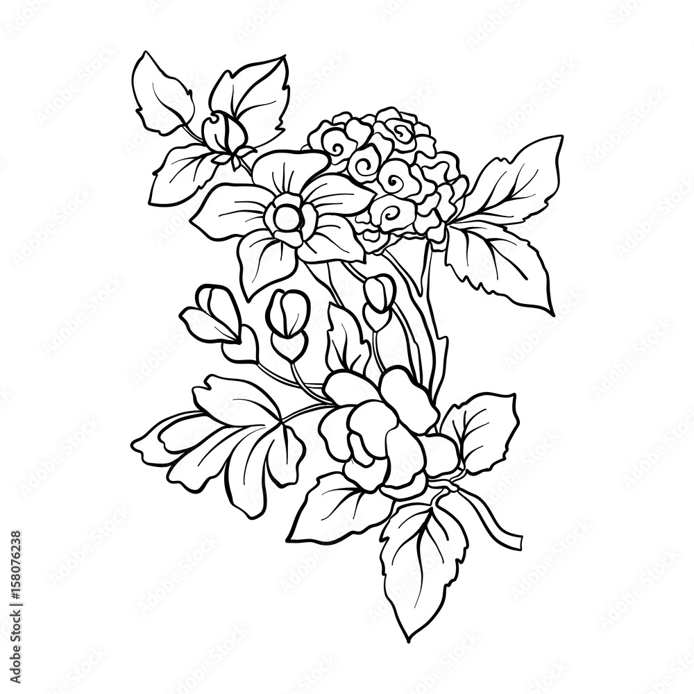 Plakat Outline vintage flowers bouquet or pattern in rococo, victorian, renaissance, baroque, royal style. Coloring page. Stock line vector illustration.