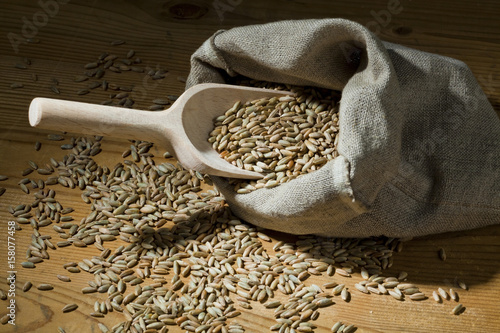 Photography cereal grains of rye