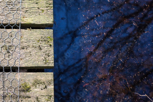 closeup walkway over the pond