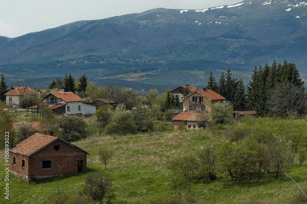 Residential district of bulgarian village Plana in forest and various trees with new leaf and blossom at springtime, Plana mountain, Bulgaria 