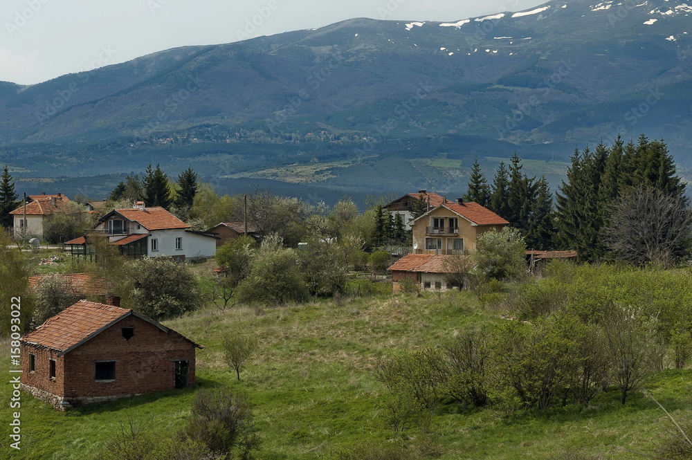 Residential district of bulgarian village Plana in forest and various trees with new leaf and blossom at springtime, Plana mountain, Bulgaria Residential district of bulgarian village Plana in forest and various trees with new leaf and blossom at springtime, Plana mountain, Bulgaria