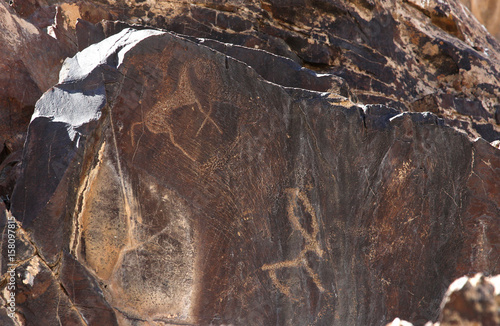 ancient rock drawings, horses, dog, deer with big round horns photo