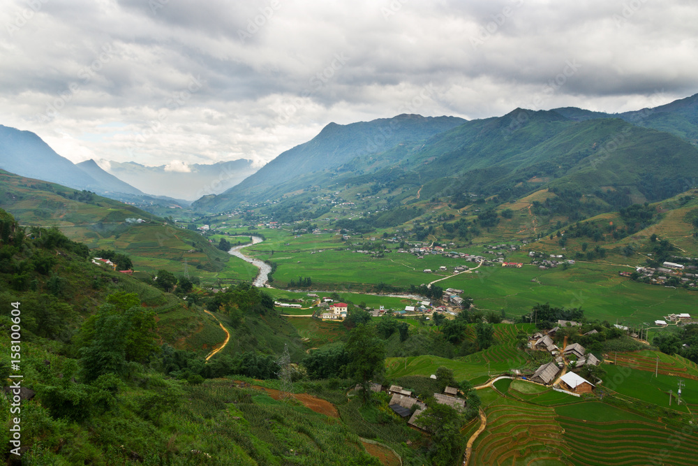 Rice fields in the valley of Sa Pa, Vietnam