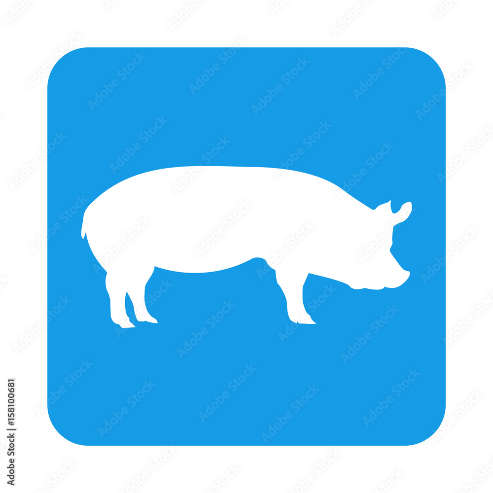 Icono plano cerdo en cuadrado azul Icono plano cerdo en cuadrado azul