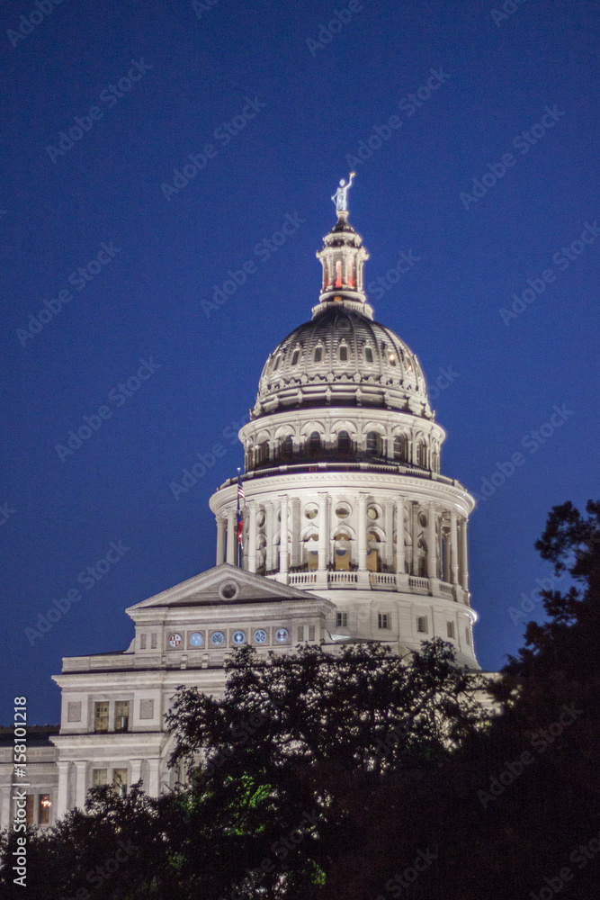 The Majestic Texas State Capital Building