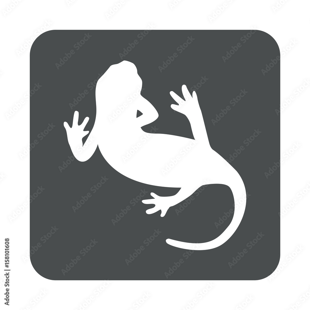 Fototapeta premium Płaskie ikona jaszczurki w szary kwadrat