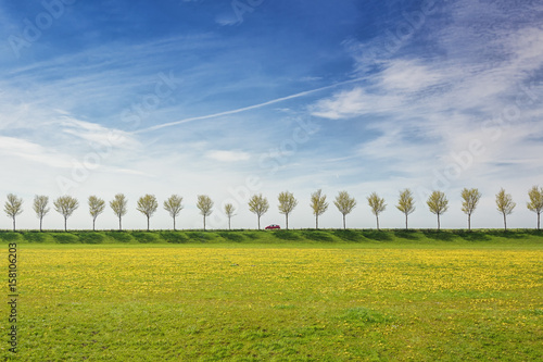 Foto Red car on a dike with a row of trees in the Beemster Polder