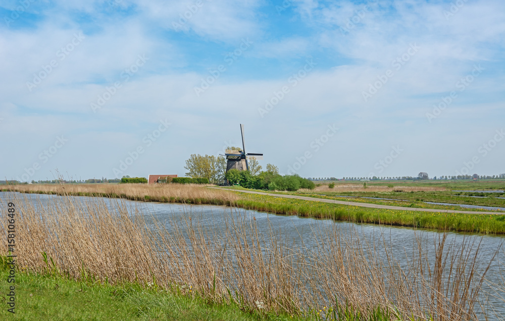 Typical Dutch polder landscape with mill