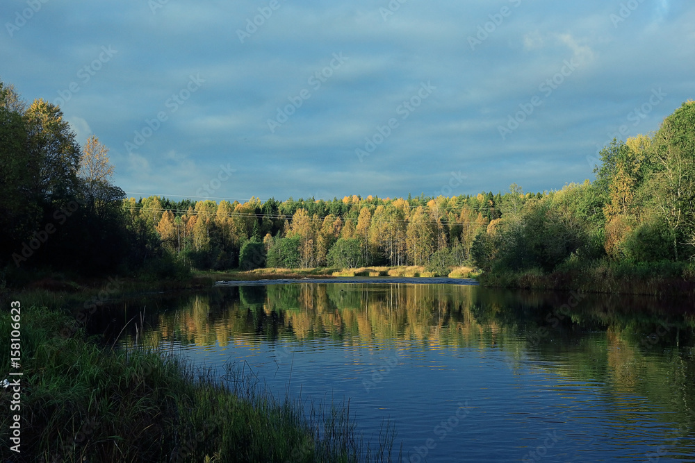 water trees sky blue landscape