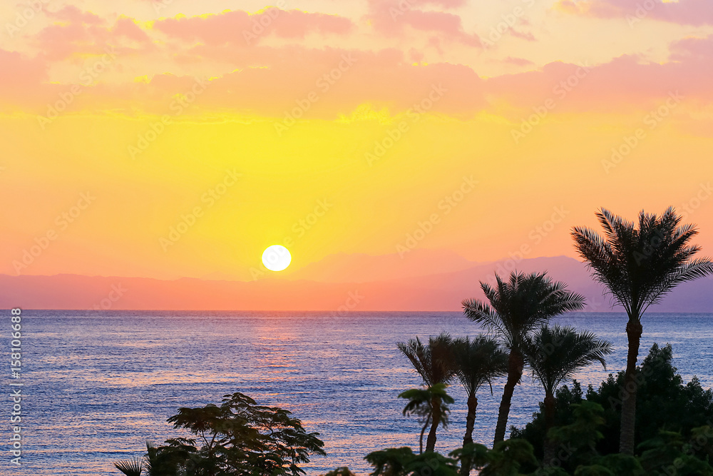 Palm trees at beautiful sunset