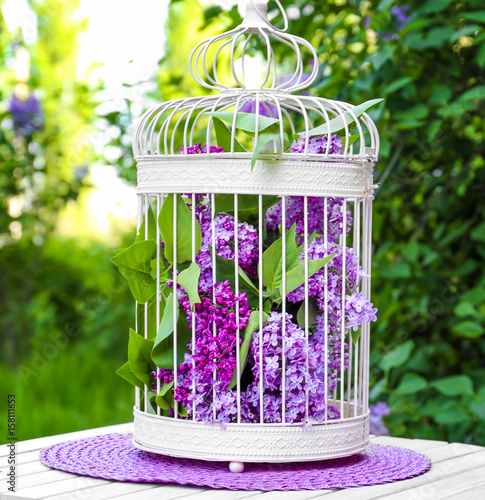 Cage with lilac flowers on table in garden