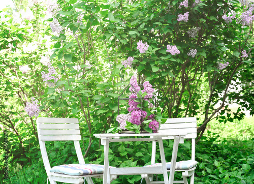 Cage with beautiful lilac flowers on table in garden