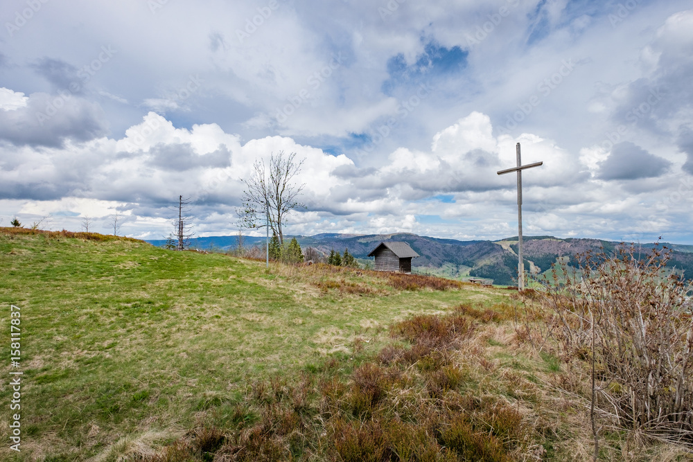 Fototapeta premium Der Gipfel des Berges Blößling im Südschwarzwald
