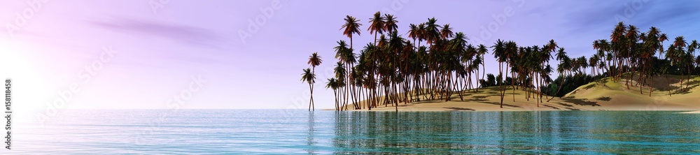 Tropical ocean coast, beach with palm trees, panorama of tropical coastline
