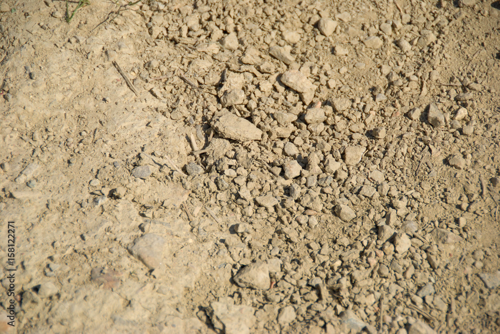 Texture Texture