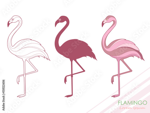 A set of flamingos. Silhouette of flamingos. A tropical bird. Vector illustration. Logo.