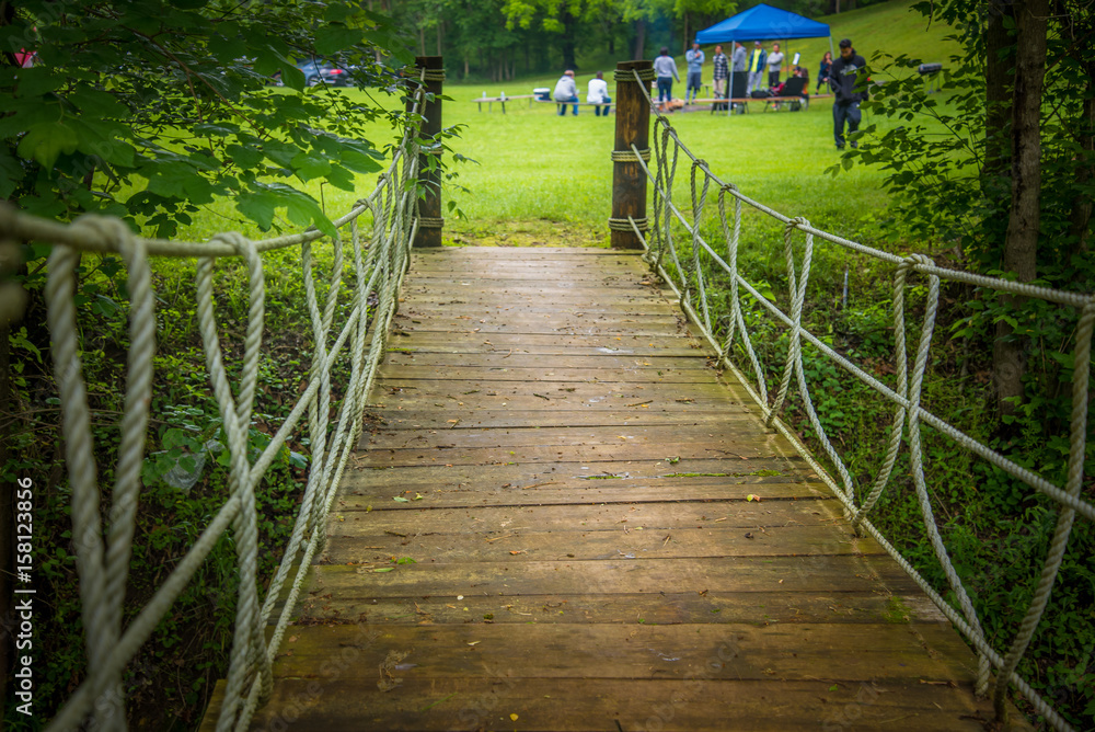 Obraz premium Bridge in Forest 