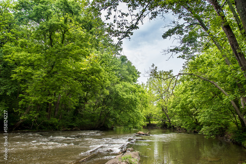 Forest River 