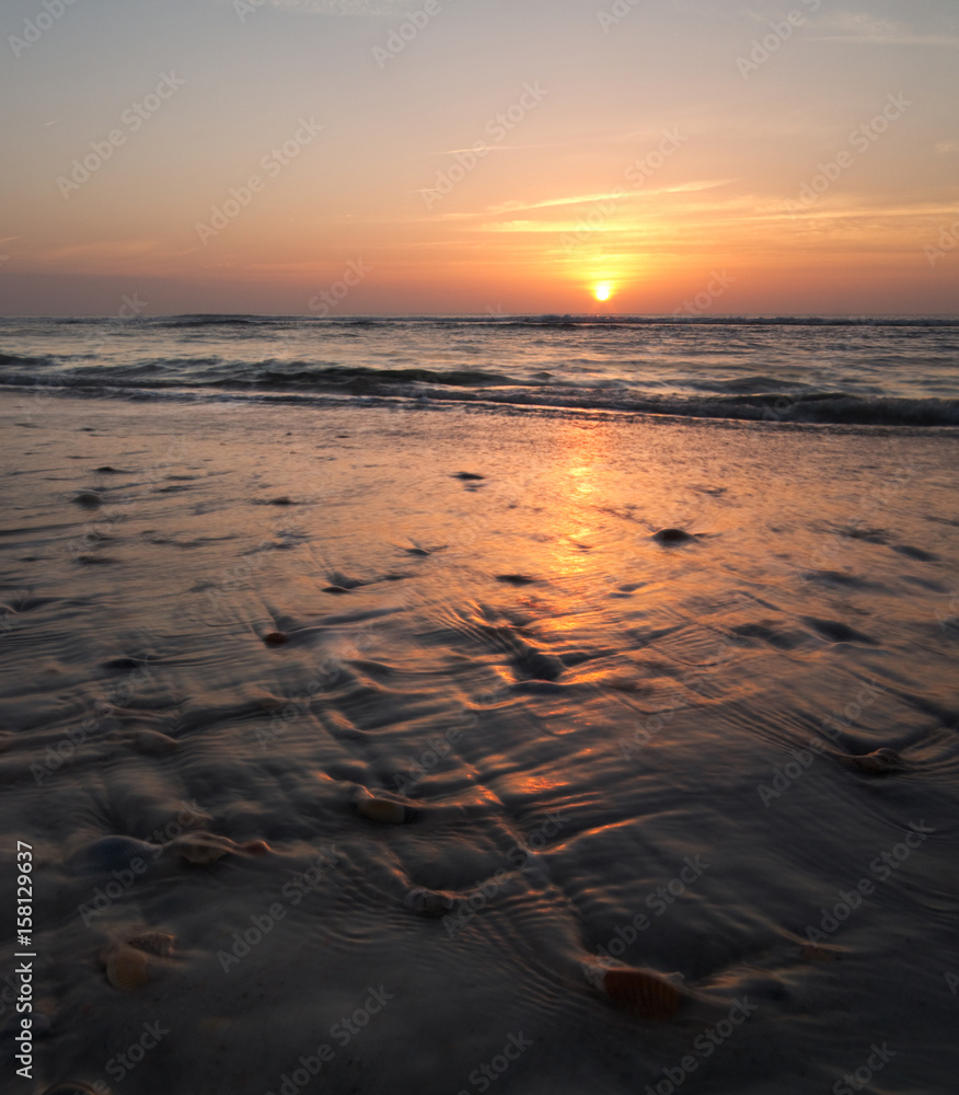 Florida beach at sunrise, with waves washing over sea shells Florida beach at sunrise, with waves washing over sea shells