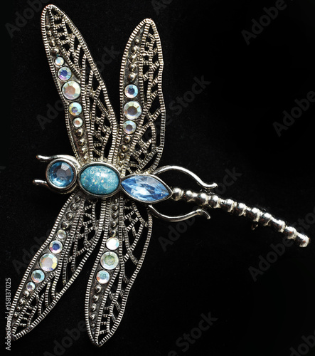 Obraz na płótnie Dragonfly brooch w salonie