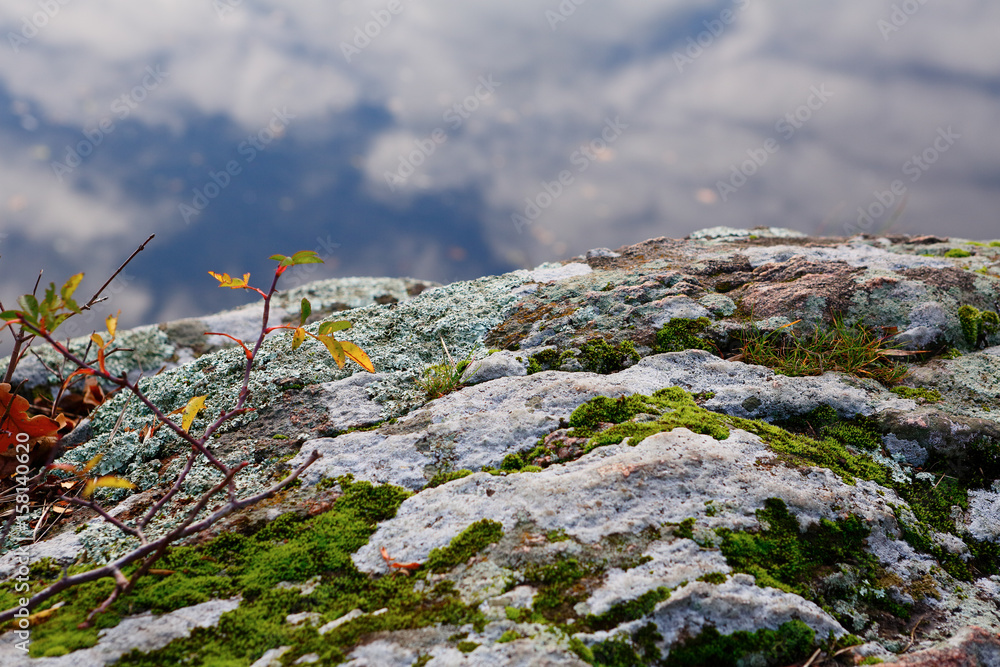 Autumn landscape with stone overgrown moss and pond Autumn landscape with stone overgrown moss and pond