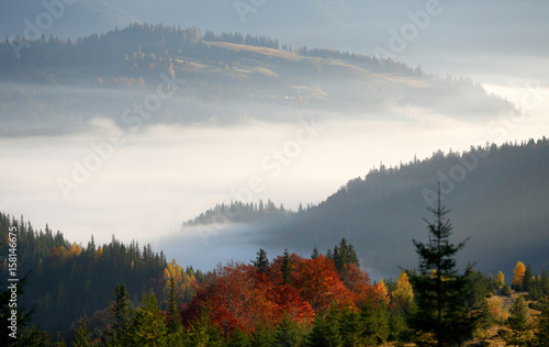 Golden fall in the mountains. Morning fog