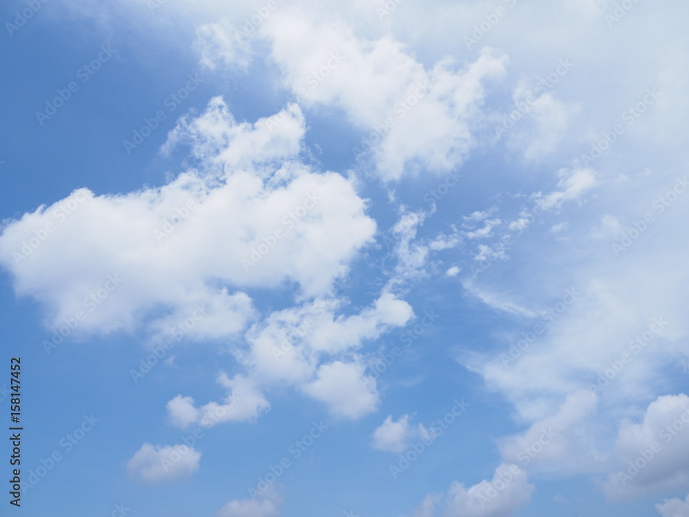 Fototapeta premium OLYMPUS DIGITAL CAMERA