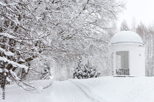Winter landscape with a gazebo in the park