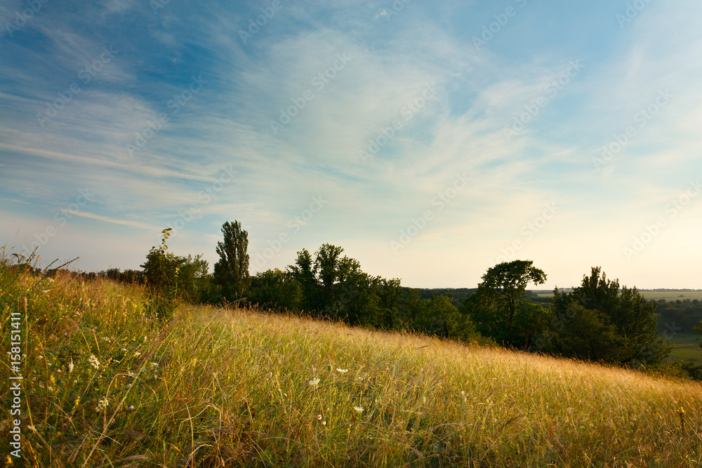 Evening Landscape with cirrus clouds, grasses and trees