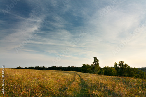 Evening landscape with cirrus clouds over field