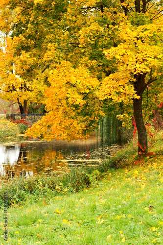 Autumn landscape with tree and pond