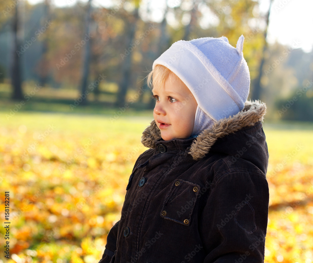 Portrait cute child against a background of golden autumn nature Portrait cute child against a background of golden autumn nature