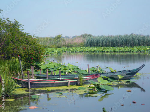 fiume micio Grazie di Montanara  Mantova  photo