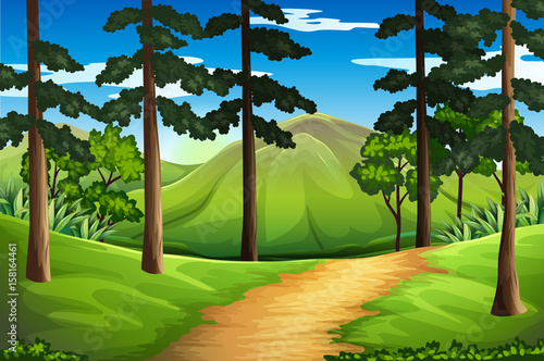 Scene with tall trees and mountain