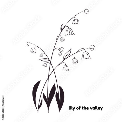 Lily of the valley symbol