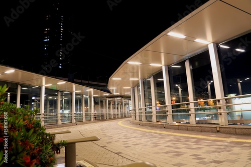 埼玉　武蔵浦和駅前（夜）