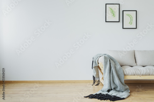 Monochromatic, scandi living room photo