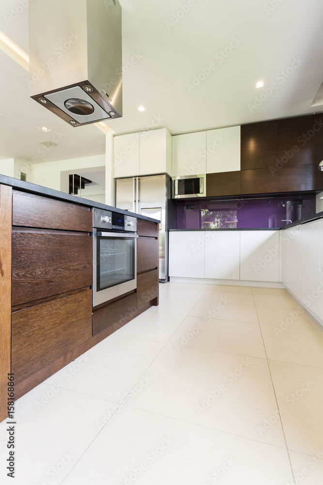 Fototapeta premium Modern and functional kitchen