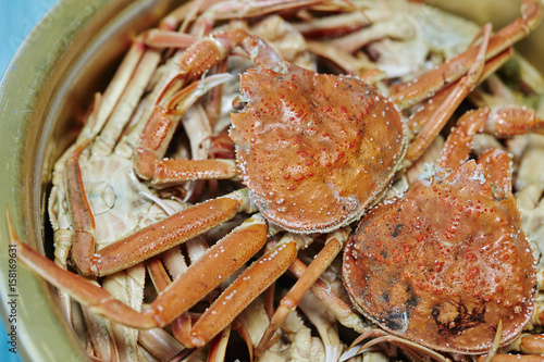 crab on a plate photo