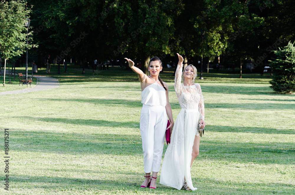 Two women in distant walking on meadow in elegant dresses, wedding, anniversary or graduation Two women in distant walking on meadow in elegant dresses, wedding, anniversary or graduation