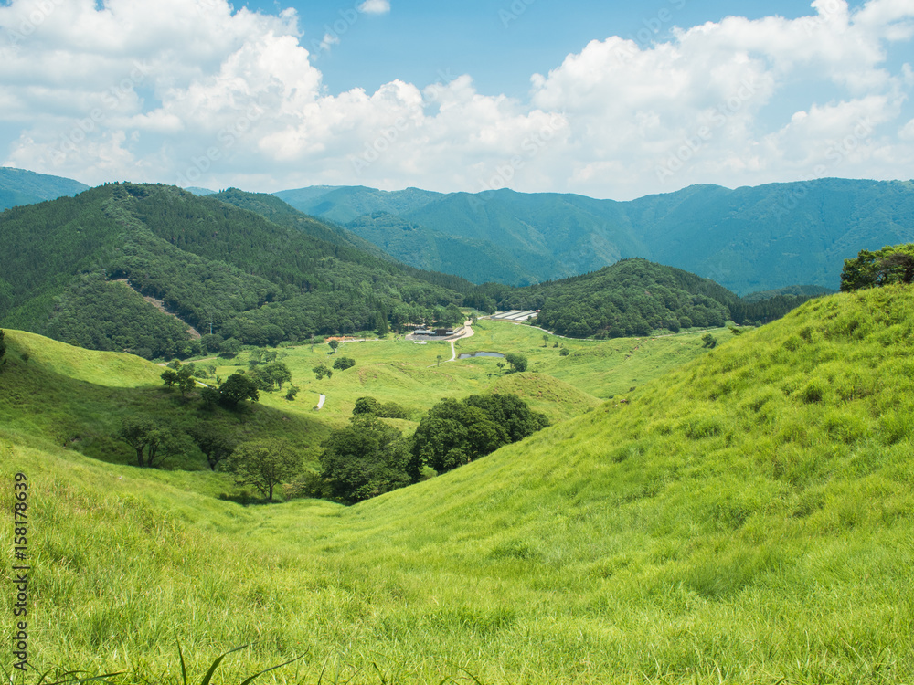 Fototapeta premium 夏の山