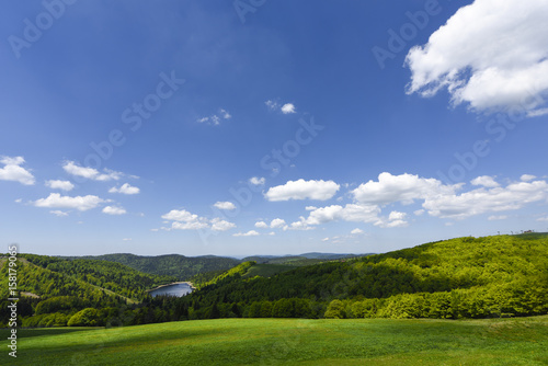  Idyllic lake surrounded by green meadows in French Alsace, France