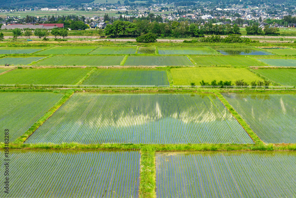 Obraz premium 春の信州 水田に映る北アルプスの山並み