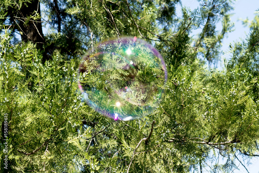 Bubble Bubble
