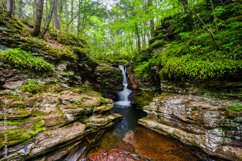 Adam's Falls, at Ricketts Glen State Park, Pennsylvania. photo