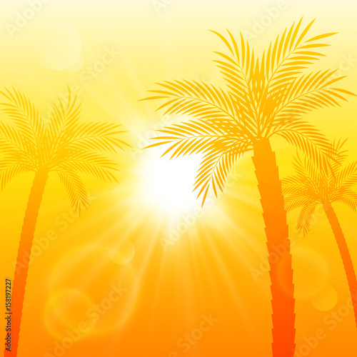 Summer background with palm trees silhouettes