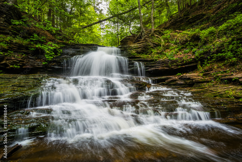 Fototapeta premium Onondaga Falls, at Ricketts Glen State Park, Pennsylvania.