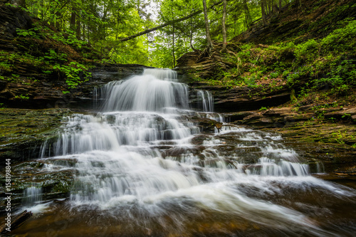Onondaga Falls  at Ricketts Glen State Park  Pennsylvania.